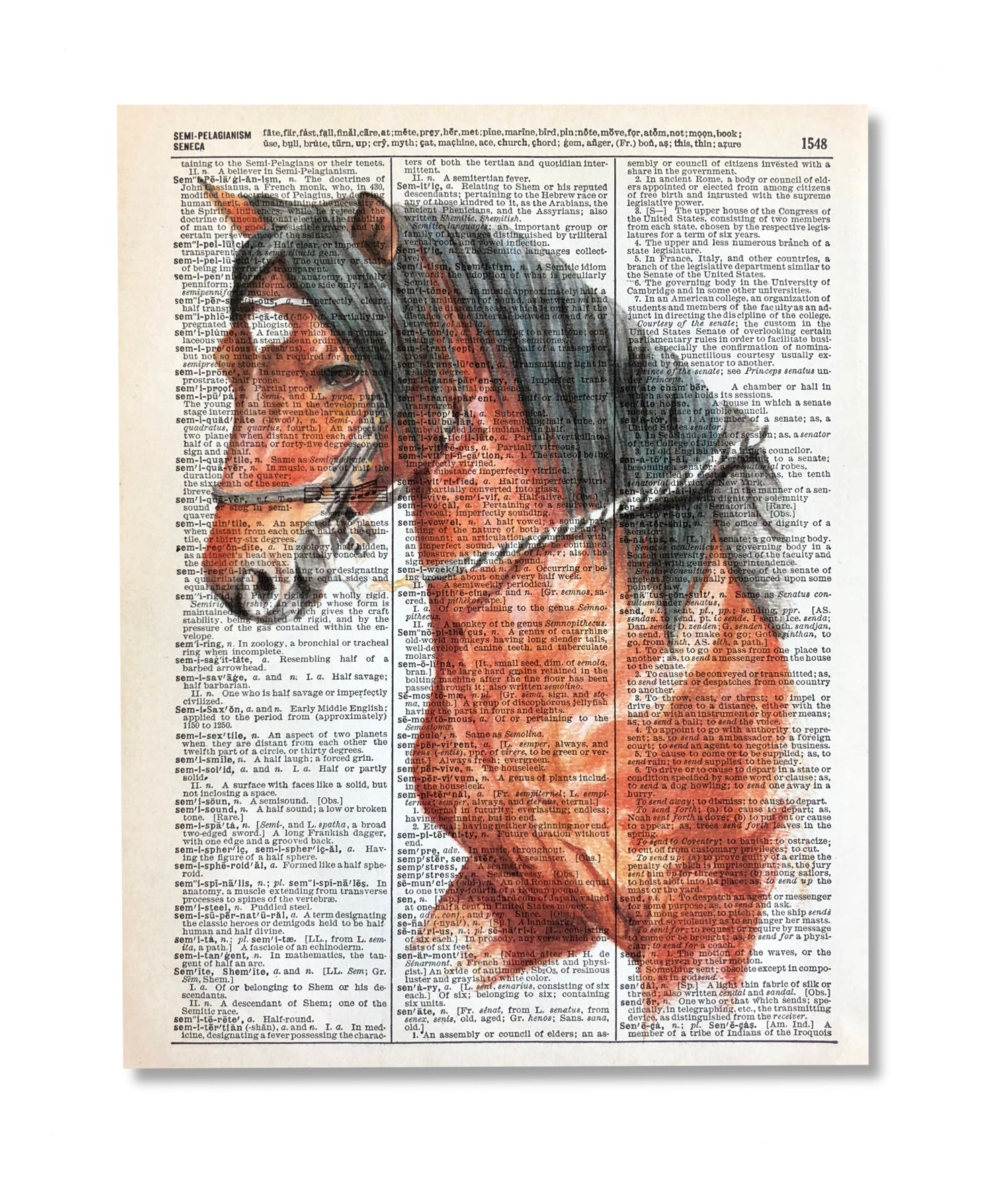 Paso Horse