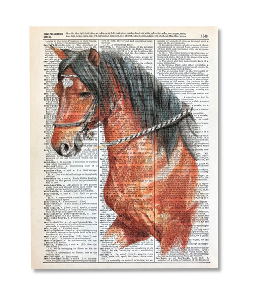Paso Horse
