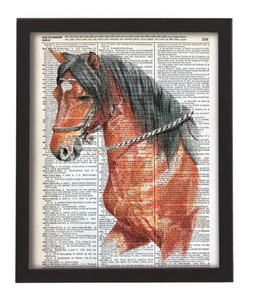 Paso Horse